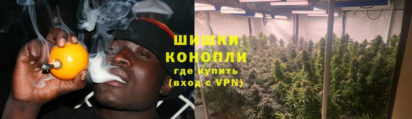 первитин Гусев
