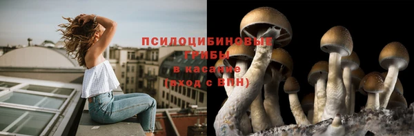 амфетамин Гусь-Хрустальный