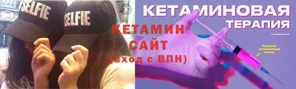 соль ск Дмитриев