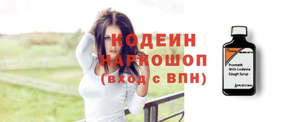 соль ск Дмитриев