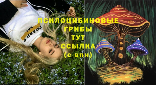 соль ск Дмитриев