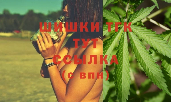 Альфа ПВП Елизово