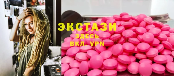 соль ск Дмитриев