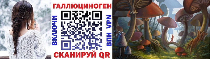 Галлюциногенные грибы MAGIC MUSHROOMS  Купить закладки  Краснослободск 